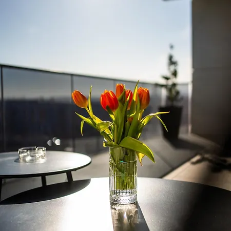 Apartament Elite Luxury Crib Cluj-Napoca