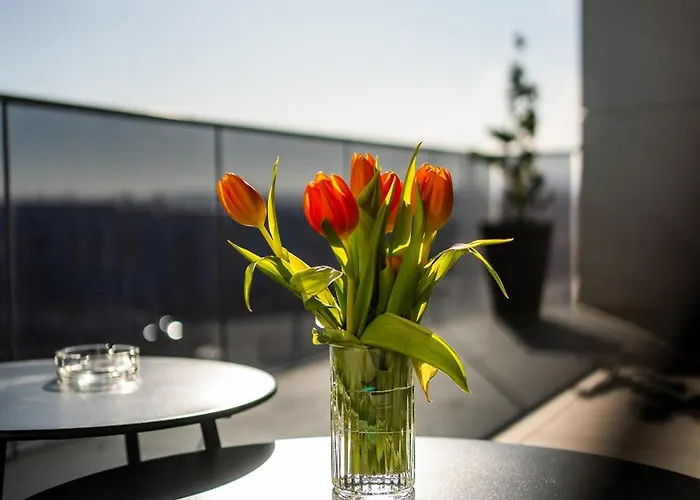 Apartment Elite Luxury Crib Cluj-Napoca